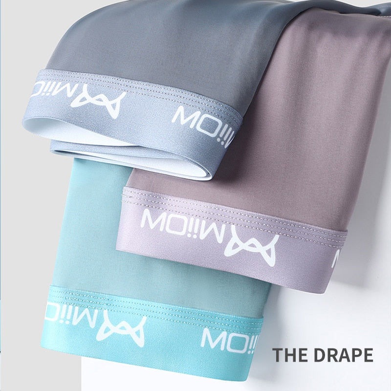 4Pcs Sexy Men Boxer Underwear Shorts Transparent Breathable Boxershorts Men Trunks Lightweight Fabric Male Underpants