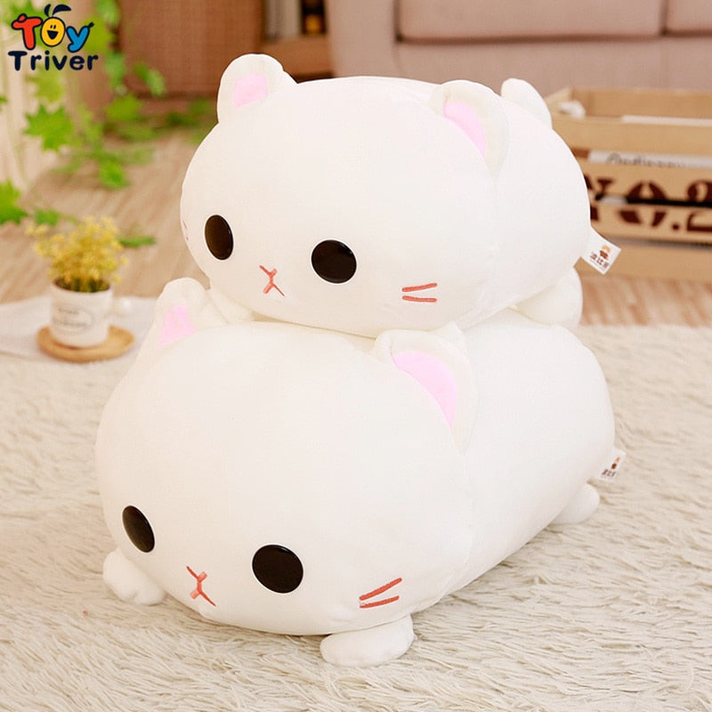 47516465791304|47516465824072