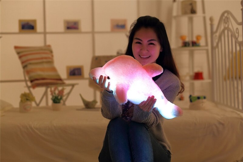 Cute Luminous Dolphin Plush Doll Toys Kawaii Light Up Dolphin Plush Pillow Stuffed Toys Colorful Dolphin Plush Night Light Toy